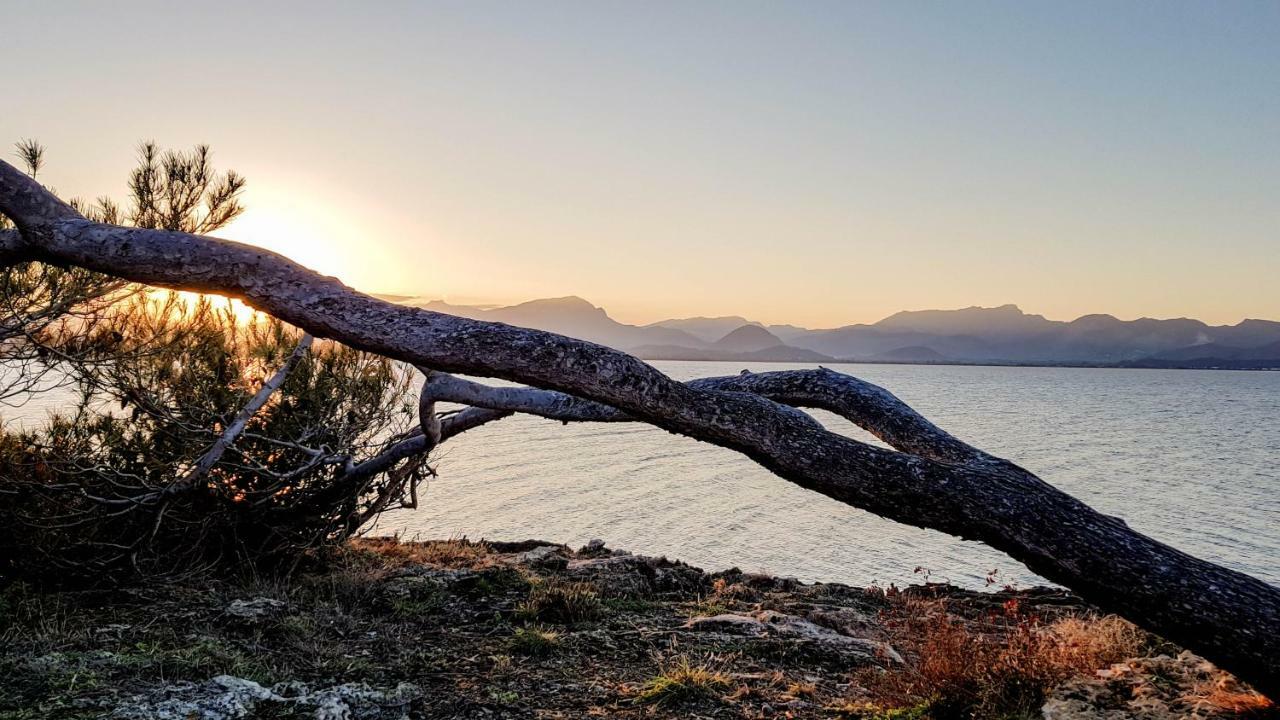 Es Fasser Alcúdia Extérieur photo